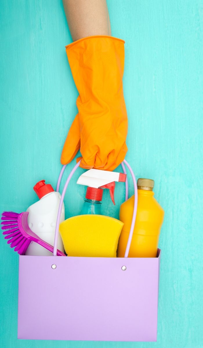 Understanding the School Cleaning Process with Clean Group NZ