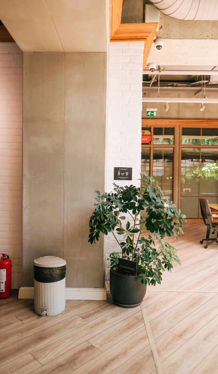 Why Routine Deep Cleaning is Essential for Schools